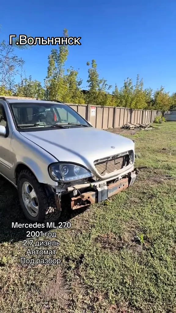 Mercedes-Benz ML 270 CDI W163 2001 — фото 2